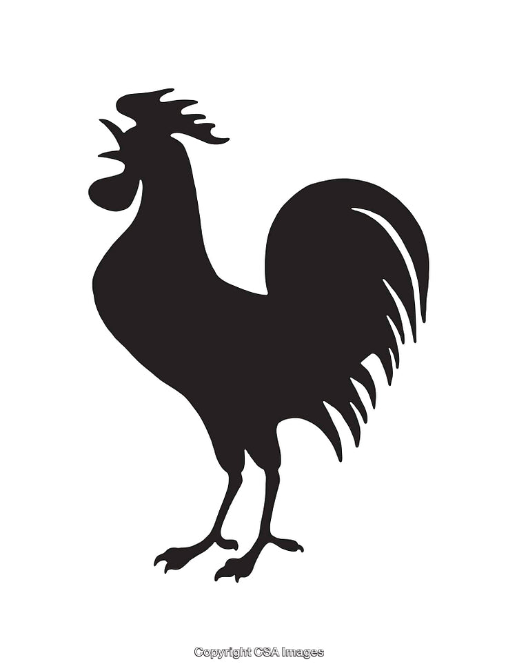 Silhouette Rooster Illustration Representing Farm Animals and Livestock in Black and White