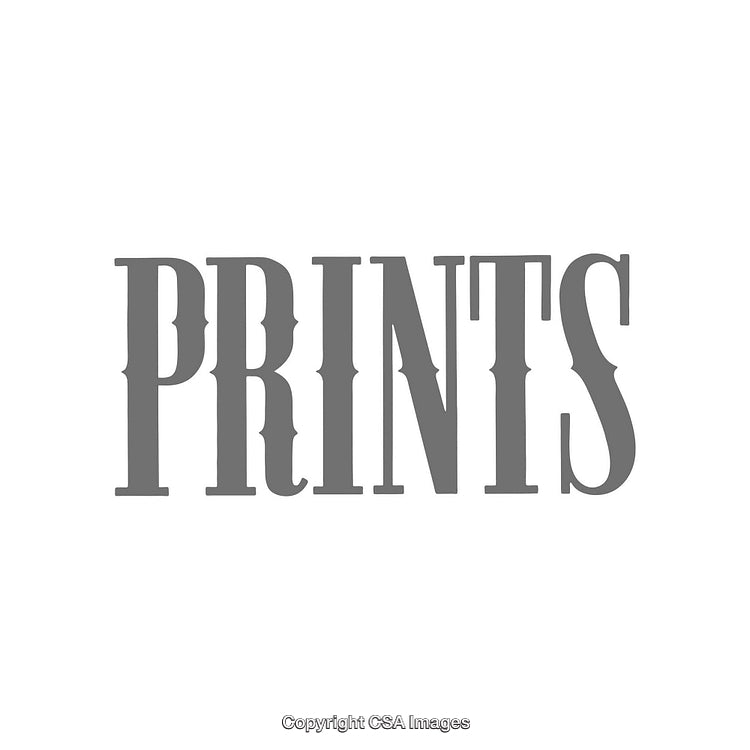 Elegant Typography Emphasizing Prints with Stylish Gray Font on White Background