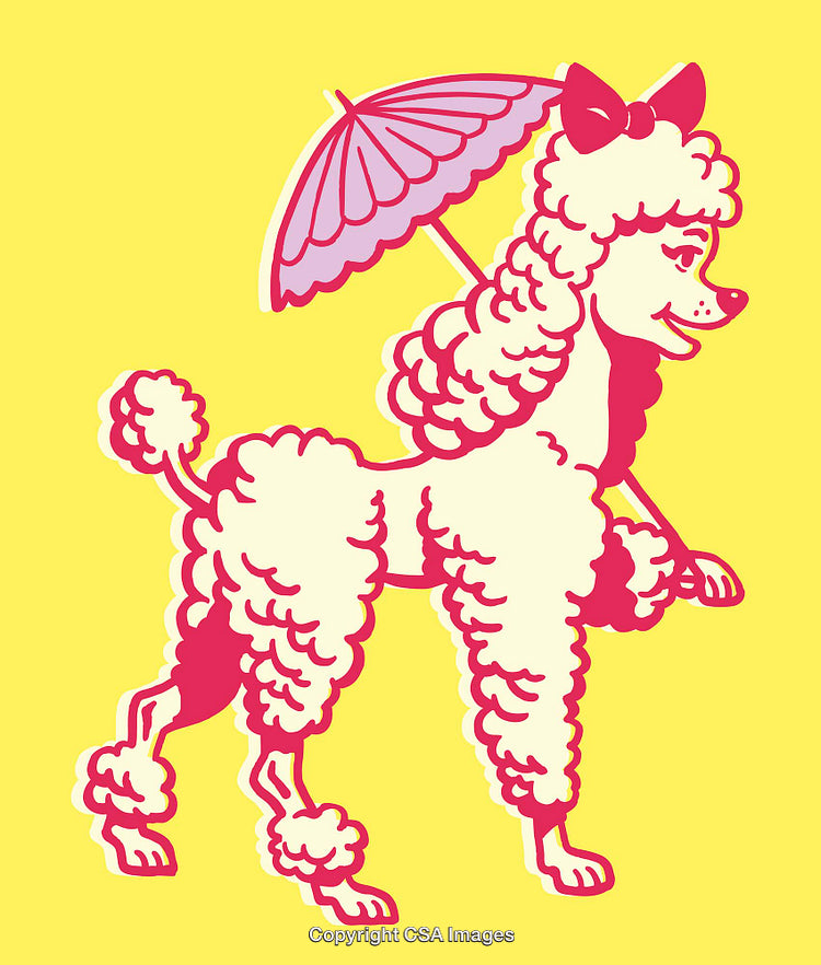 Whimsical Cartoon Poodle Holding an Umbrella on Bright Background