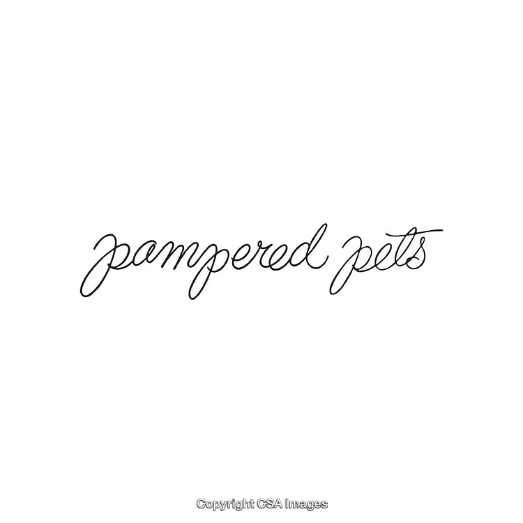 Elegant Handwritten Calligraphy of Pampered Pets on White Background