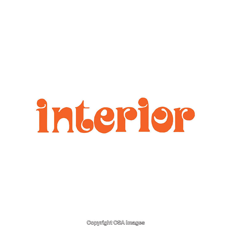 Stylized Retro Typography Design Featuring the Word 'Interior' in Orange