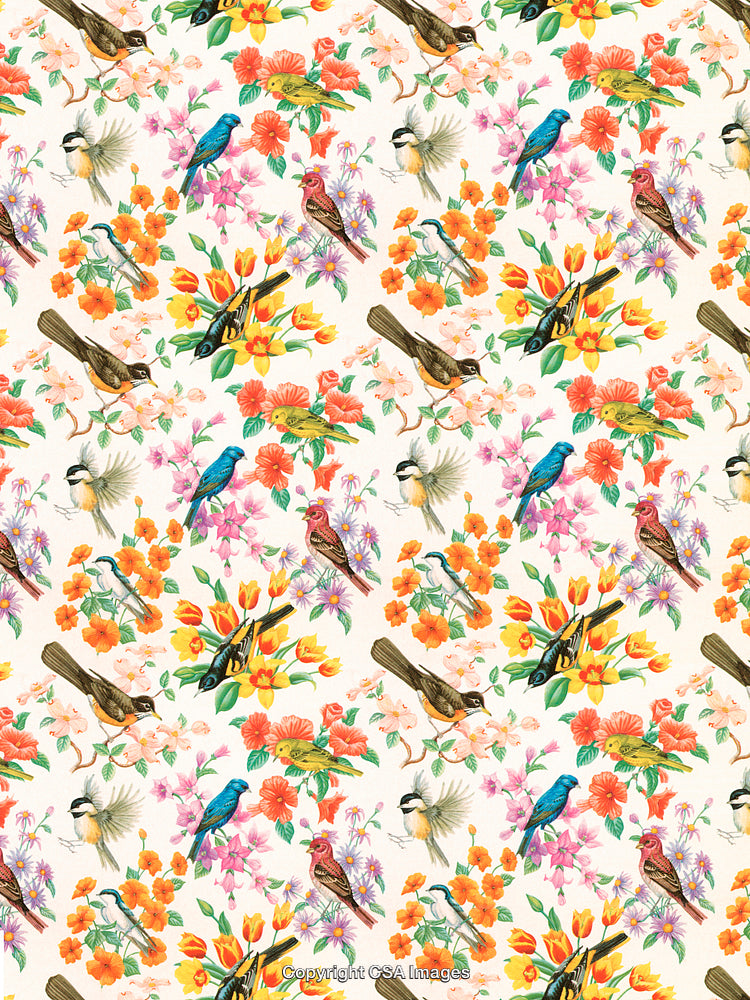 Bird pattern