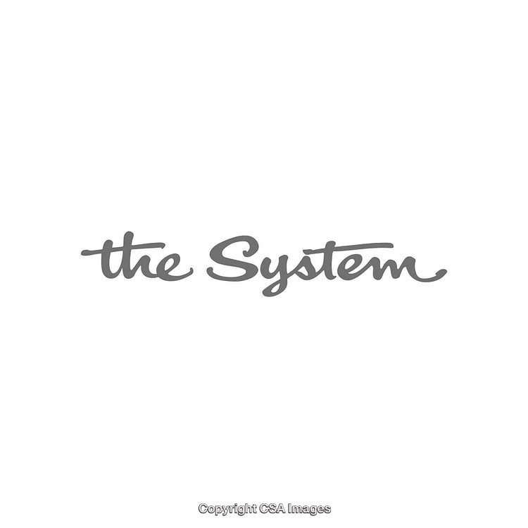 Elegant Gray Calligraphy Displaying The Phrase 'The System' on White Background