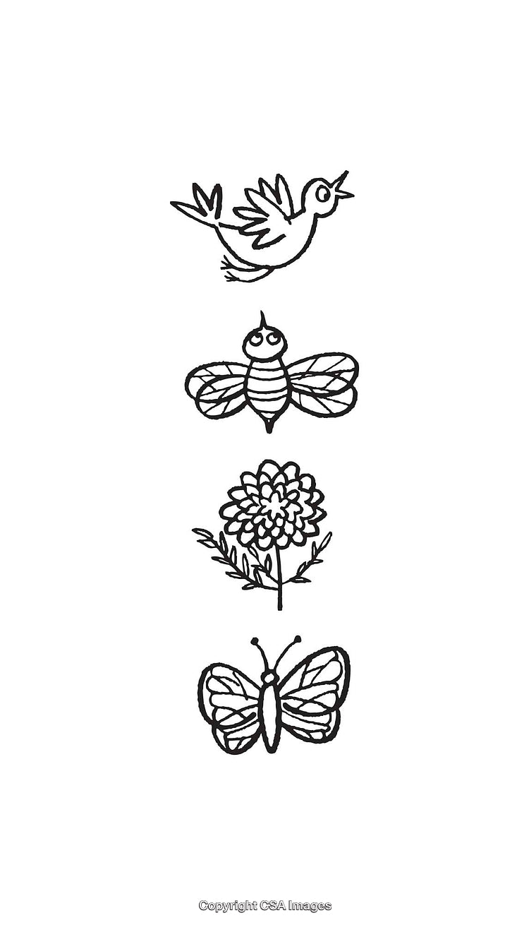 Black and White Line Art of Bird, Bee, Flower, and Butterfly Illustration