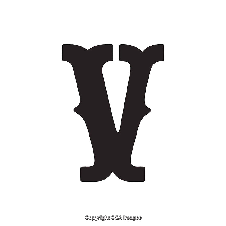 Bold Black Letter V on White Background with Elegant Font