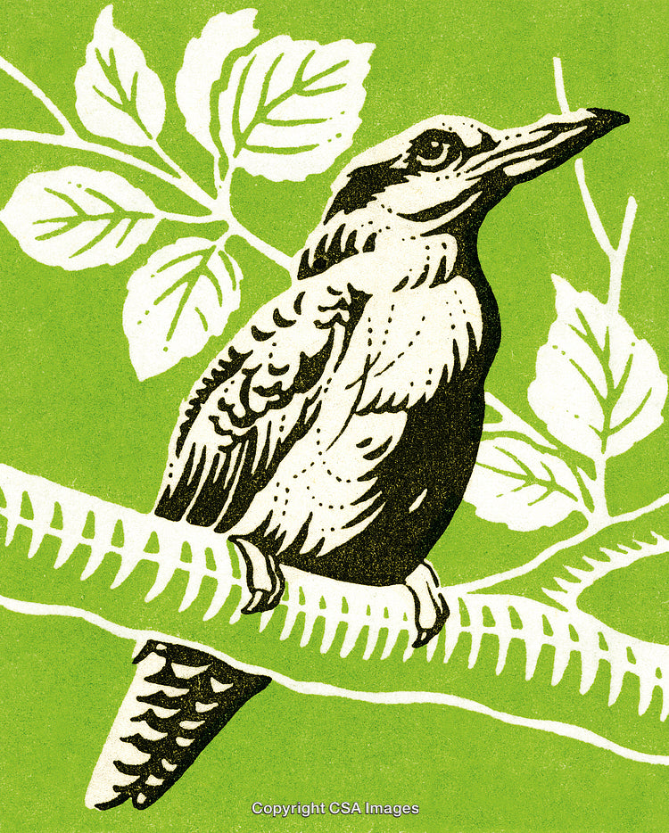 Illustrative Bird Perched on a Branch with a Vibrant Green Background