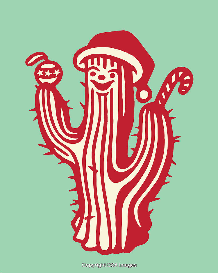 Festive Cactus Christmas Illustration with Santa Hat and Decorative Ornament