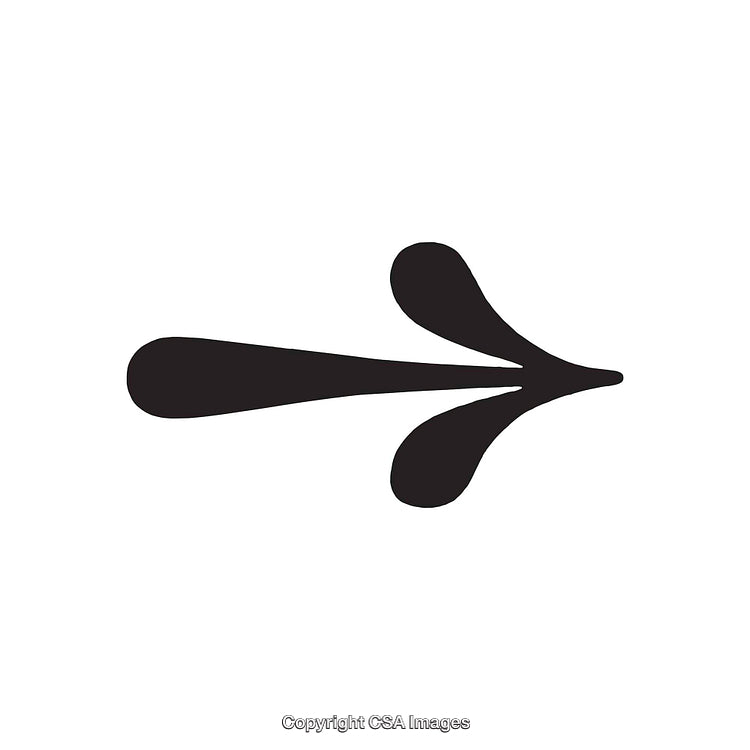 Decorative Black Arrow Symbol with Organic Splashes on White Background