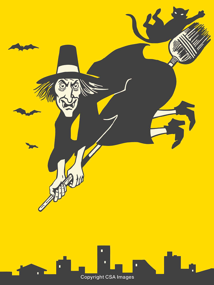Witch Flying on Broomstick with Cat in Nighttime Illustration