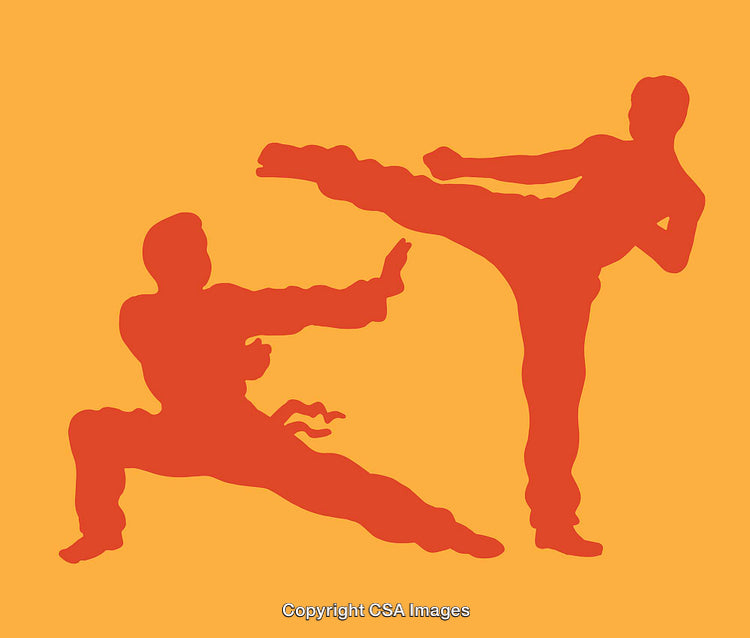 Dynamic Martial Arts Silhouette on Bold Gradient Background