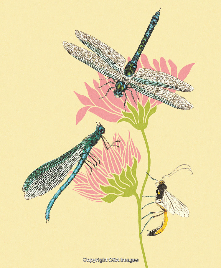 Intricate Illustration of Insects on Flowers in a Naturalistic Style