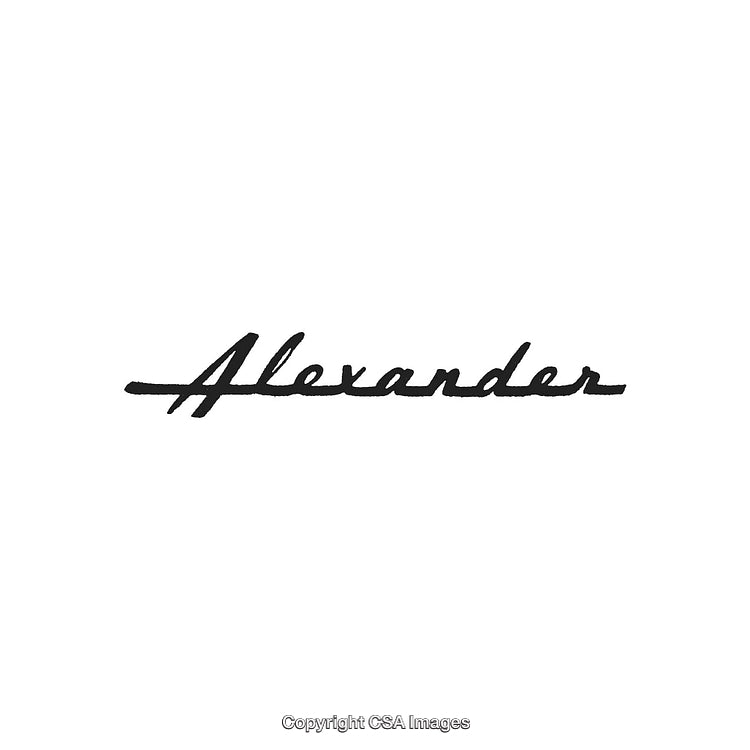 Stylish Calligraphy of Name Alexander in Black Ink on White Background
