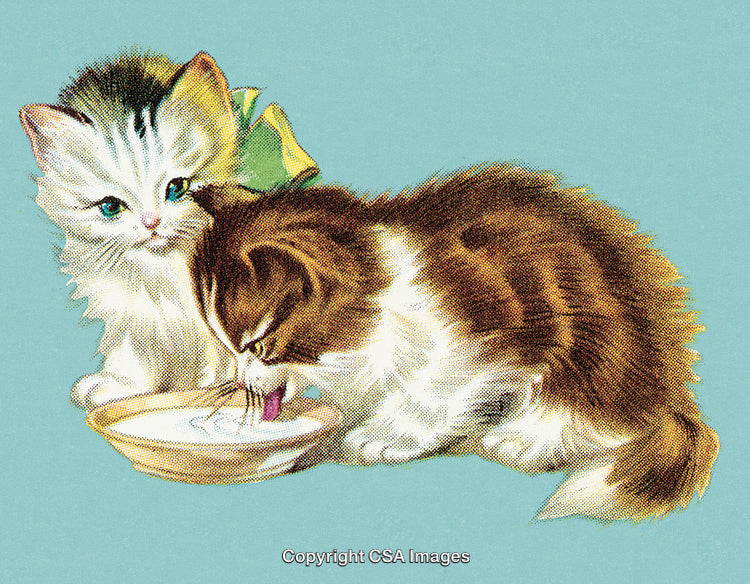 Illustration of Two Playful Kittens Sharing Milk on a Light Blue Background