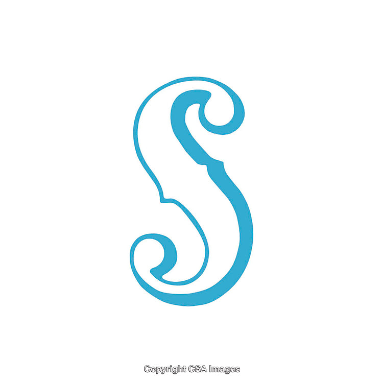 Elegant Blue Stylized Letter S Icon on a White Background
