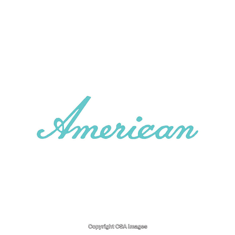 Minimalistic Artwork Design Featuring Single Word "American" in Blue Script Font