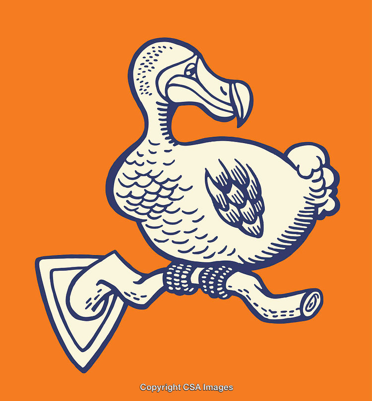 Colorful Line Art Illustration of a Cartoon Dodo Bird on an Orange Background