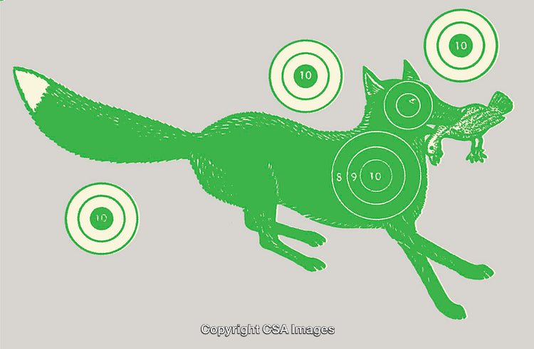Green Line Art of Fox Silhouette with Target Design Elements