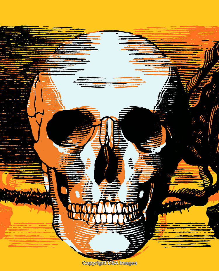 Abstract Skull Illustration with Bold Colors and Engraved Details