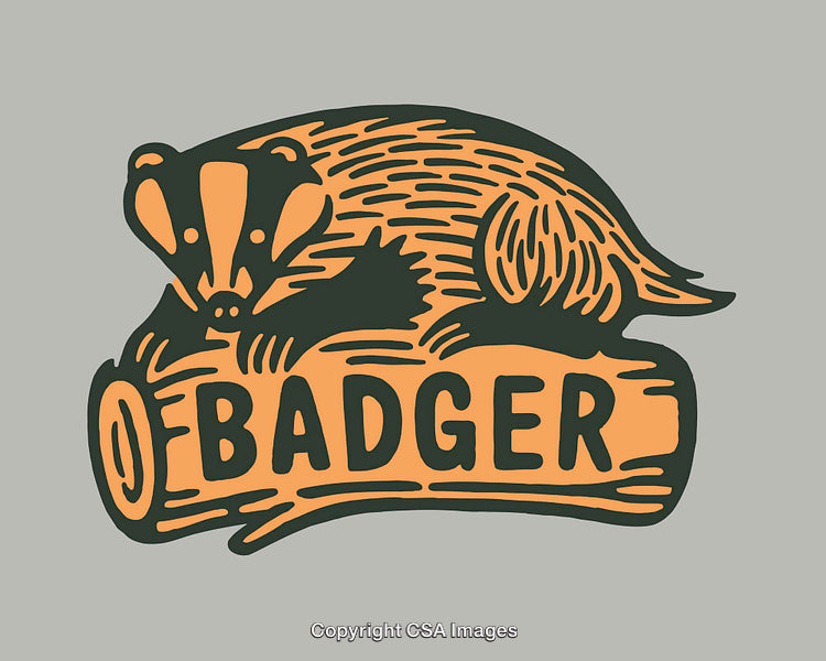Illustrated Badger Illustration on a Wood Log with Bold Typography