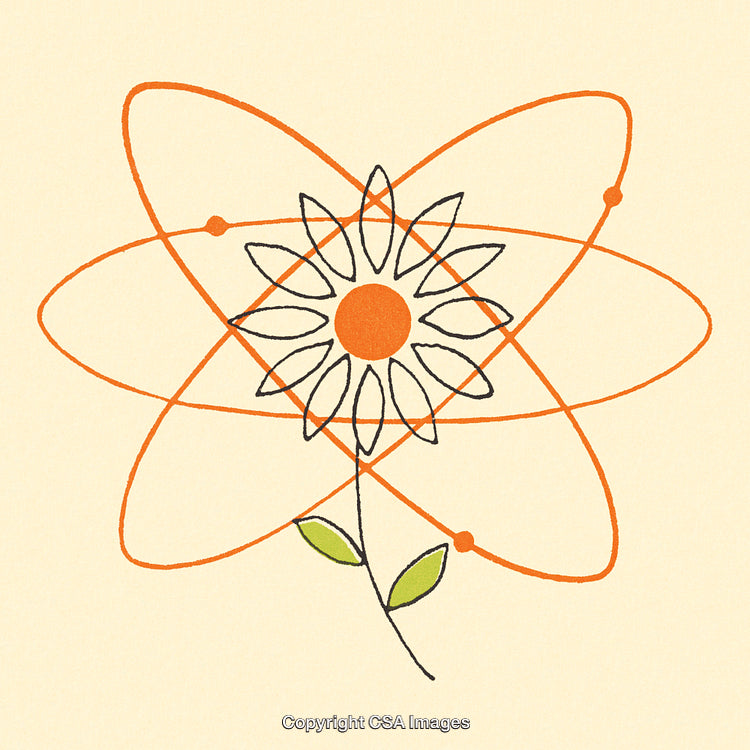 Abstract Flower Illustration with Atomic Orbit Design and Minimal Colors