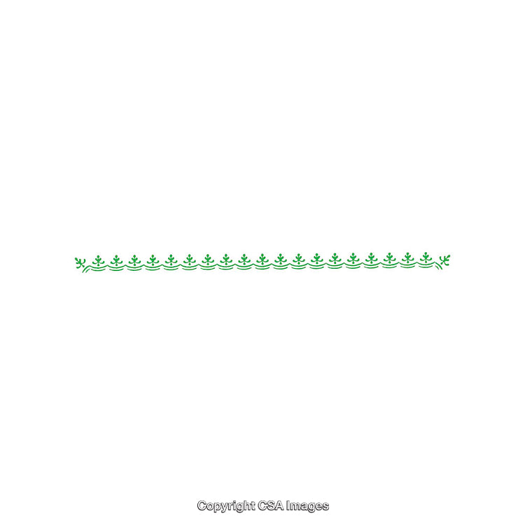 Elegant Green Floral Border Design on a Clean White Background