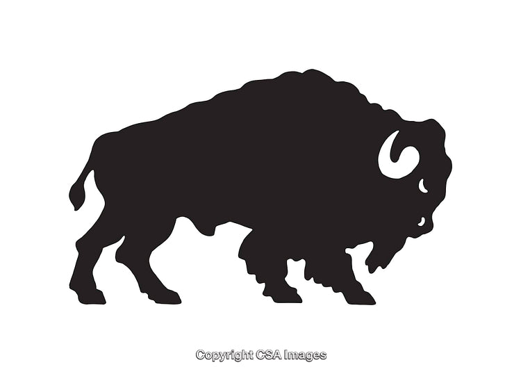 Silhouette of a Bison Icon in Black and White Design Simplicity