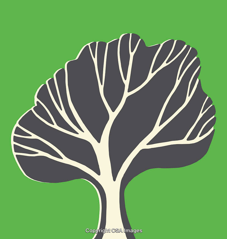 Graphic Illustration of A Stylized Tree with Intricate Branch Pattern