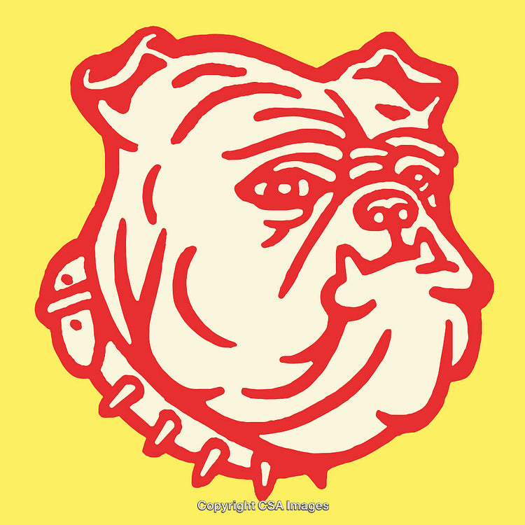 Bold Red Bulldog Illustration on Bright Yellow Background in Line Art Style