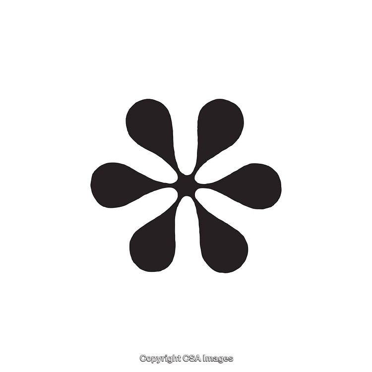 Abstract Black and White Symbol with Six Symmetrical Shapes