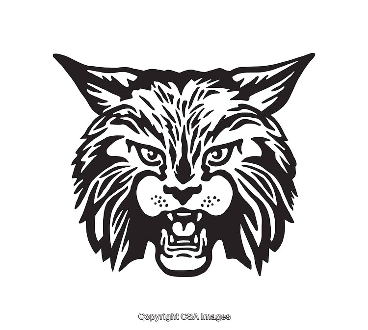 Detailed Black and White Illustration of a Fierce Wild Animal Head