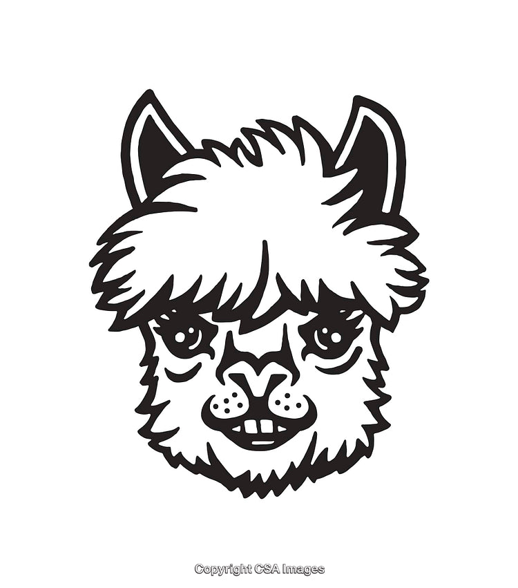 Stylized Black and White Illustration of Alpaca Face with Cute Features