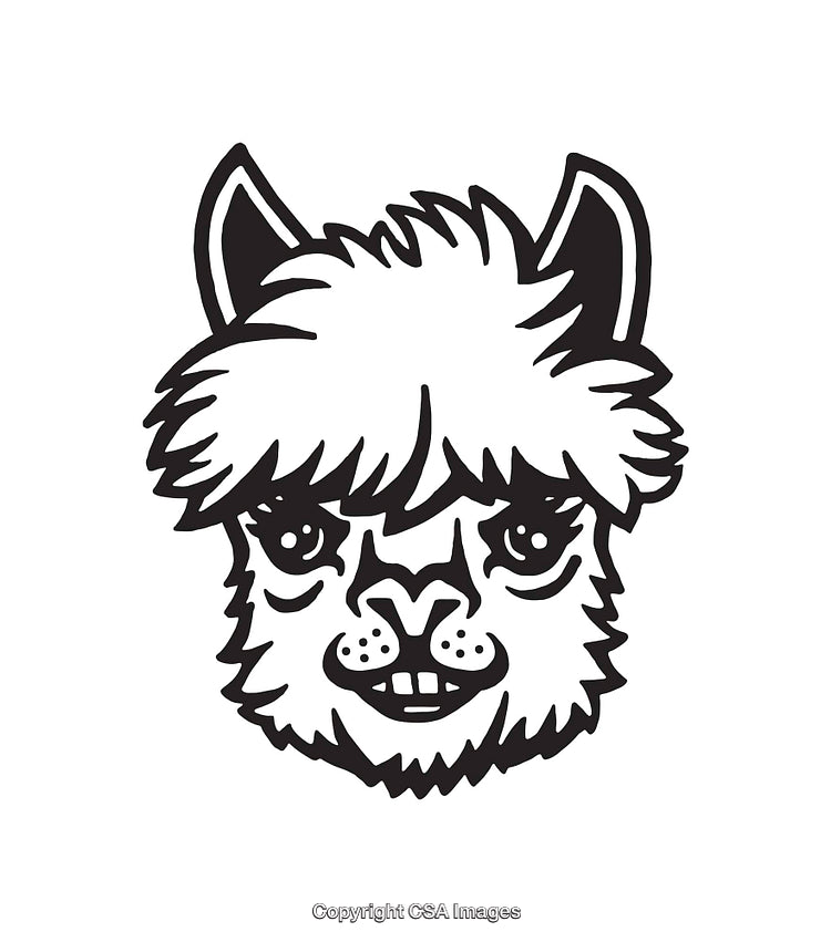 Stylized Black and White Illustration of Alpaca Face with Cute Features