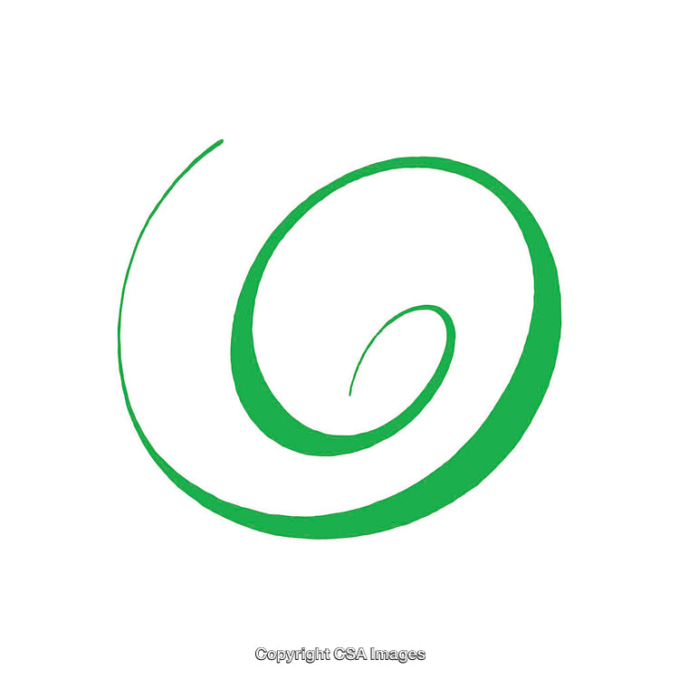 Green Swirl Design Featuring Minimalist Spiral on White Background