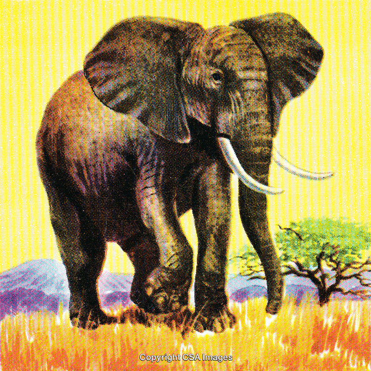 Illustration of an Elephant Standing in Savannah with Yellow Background