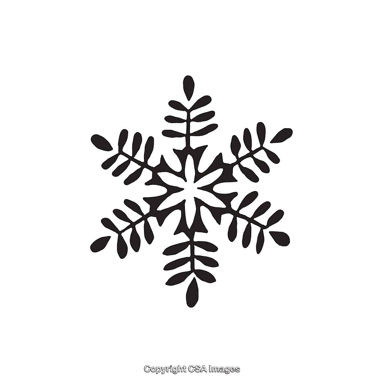 Black and White Stylized Snowflake Icon with Geometric Shape Design