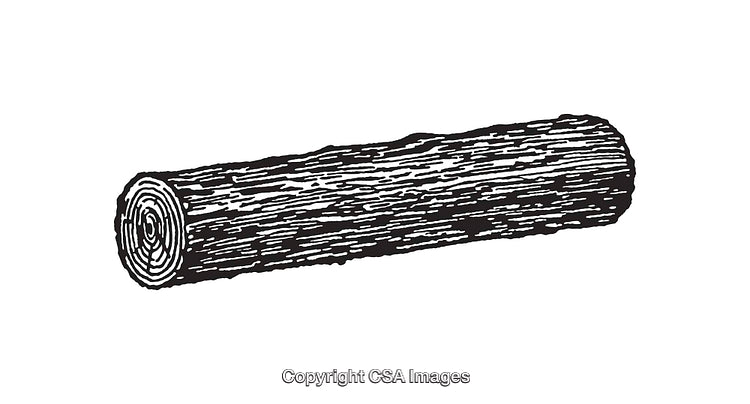 Detailed Black and White Line Art Illustration of a Wooden Log
