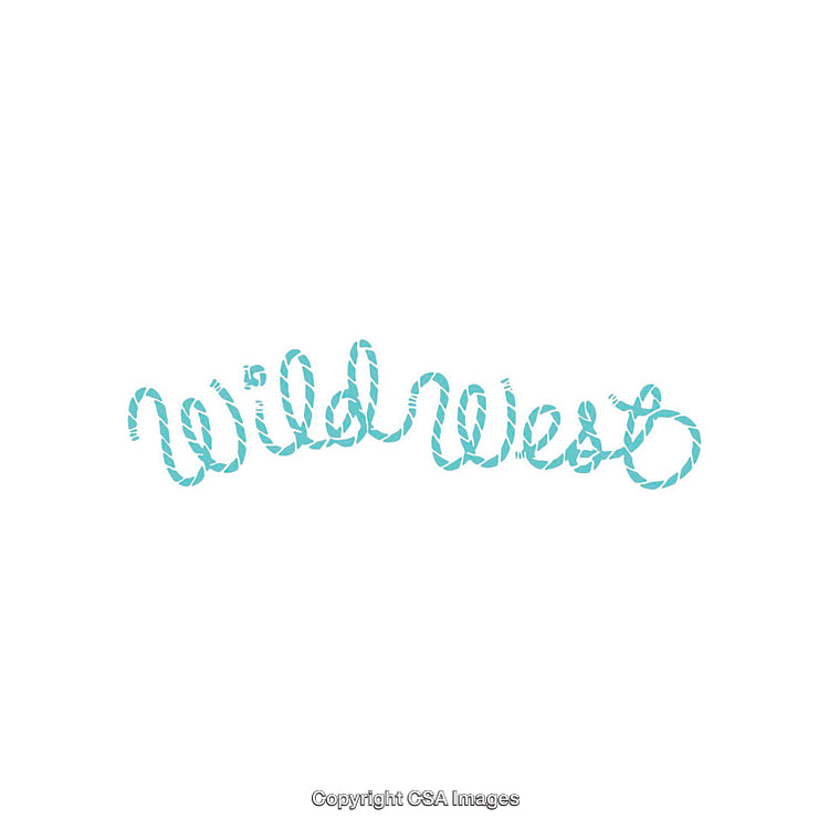 Creative Wild West Text Design with Rope Style Decor