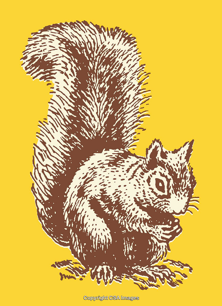 Intricate Line Art Illustration of a Squirrel on a Vibrant Yellow Background