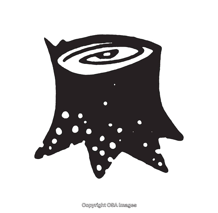 Monochrome Artistic Tree Stump Line Illustration for Design and Nature Concepts