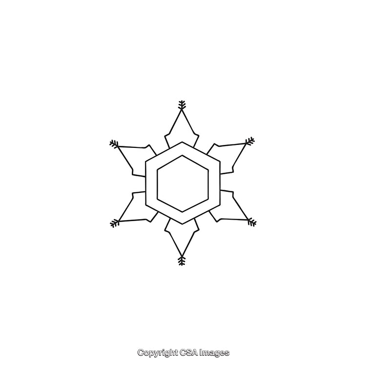 Geometric Snowflake Design with Hexagonal Center in Black and White