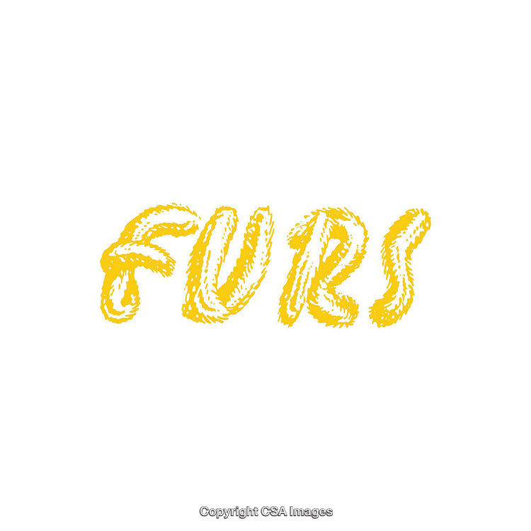 Bright Yellow Fur-Themed Text Illustration Over White Background