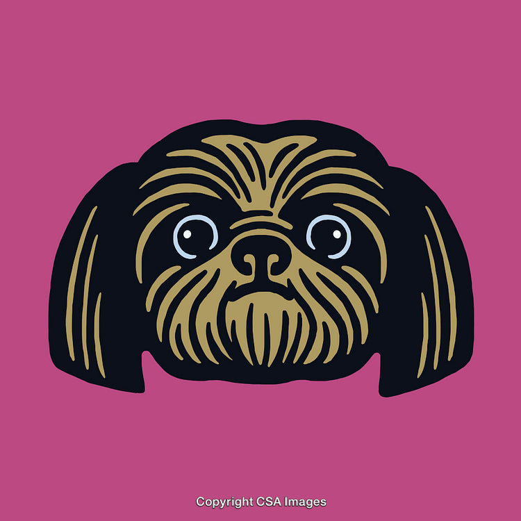 Stylized Line Art Illustration of a Shih Tzu Dog on Pink Background
