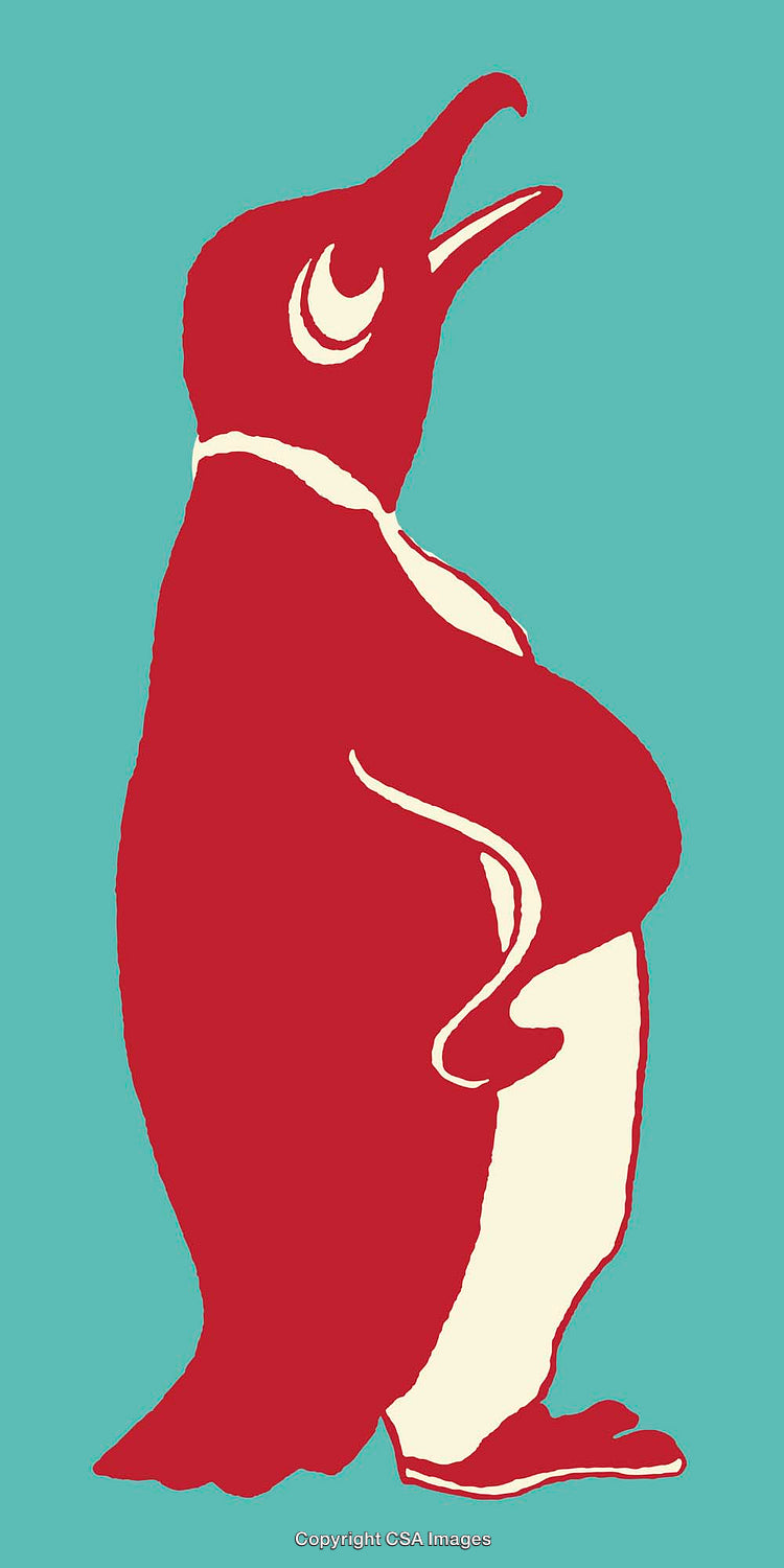 Stylized Red and White Penguin on a Turquoise Background Illustration