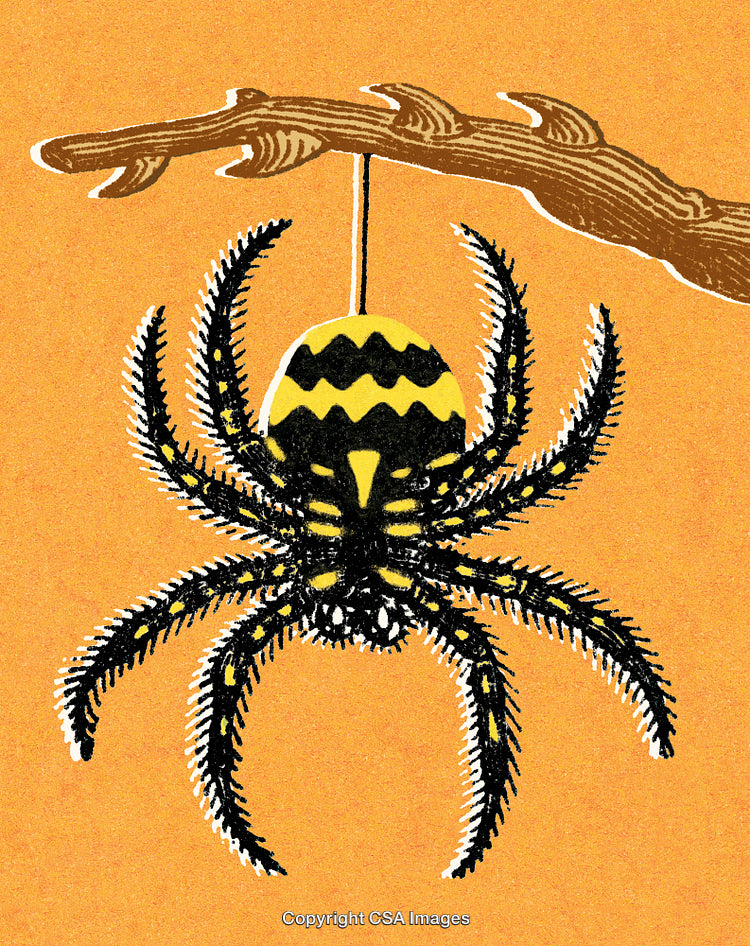 Illustrated Spider Hanging From a Branch on a Textured Orange Background