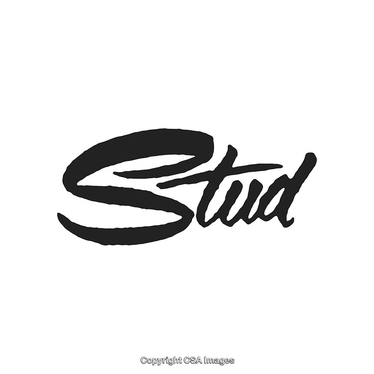 Stylish Black Handwriting Typography Design on White Background