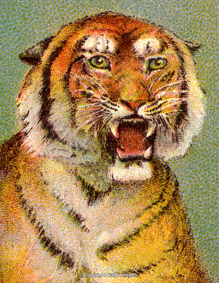 Close-Up Illustration of a Fierce Tiger in a Vibrant Artistic Style