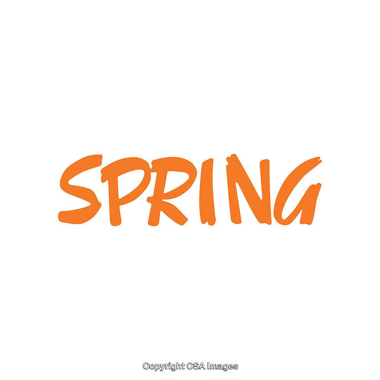 Bold Conceptual Representation of Spring Season in Vibrant Orange Text
