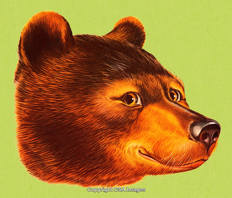 Charming Illustration of a Grinning Bear Face on Light Green Background