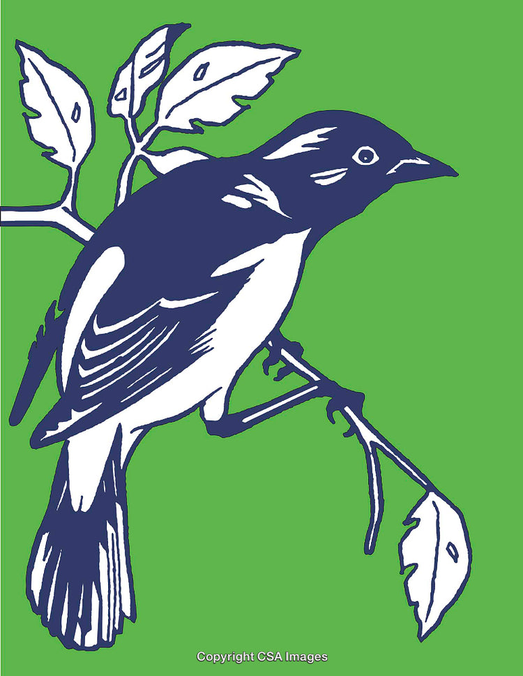 Colorful Line Art Illustration of a Bird Sitting on a Branch