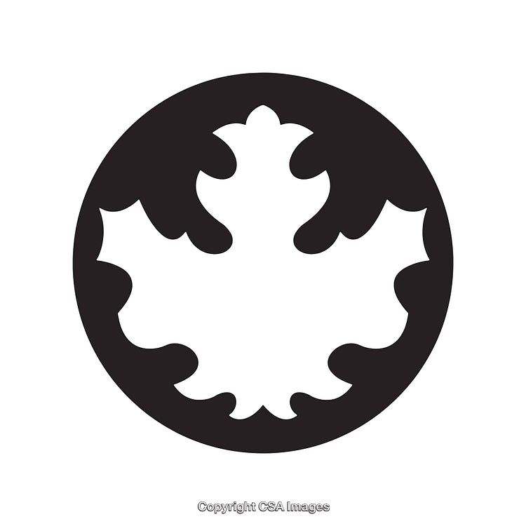 Monochromatic Black and White Icon of a Leaf Silhouette